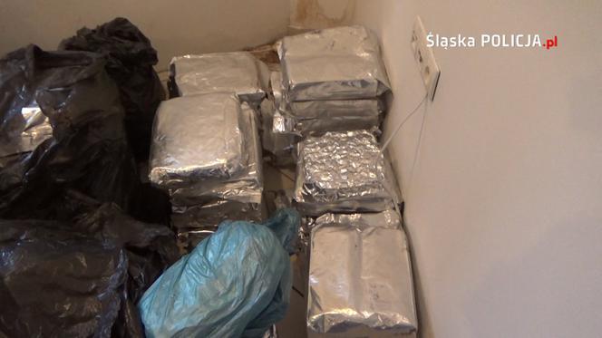 CBŚP rozbiło dwa gangi! Policja przejęła ogromne ilości narkotyków [ZDJĘCIA]