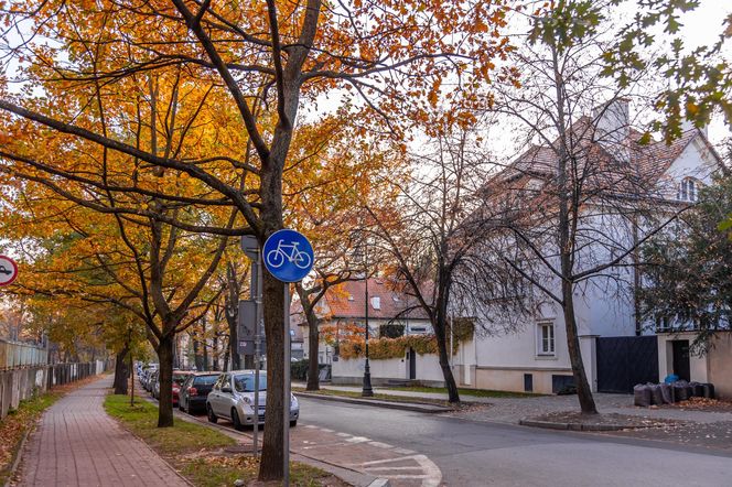 Kolonia profesorska w Warszawie