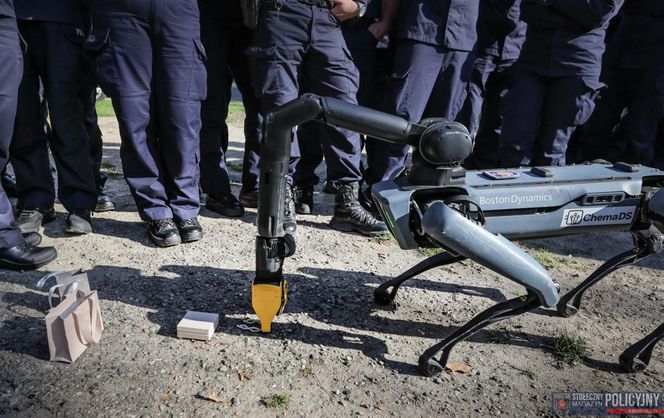 Ma cztery łapy, stalowe serce i właśnie podał łapę policjantowi. „Robopies” nowym hitem w służbach