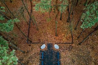 Na cmentarzu junikowskim powstał Las Pamięci