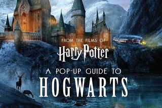 Harry Potter: Pop-Up 