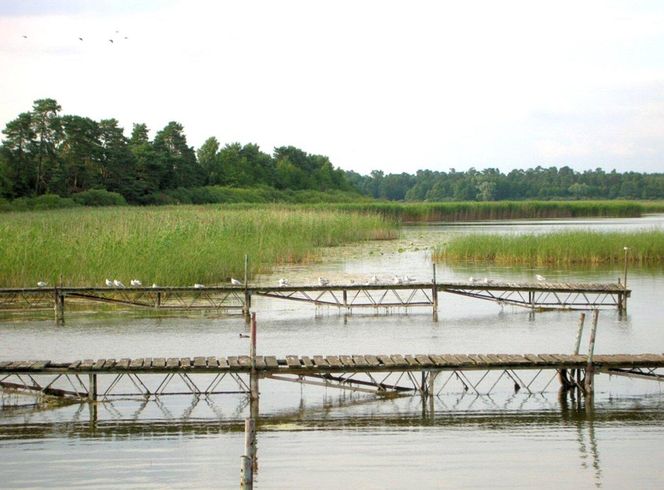 Jezioro