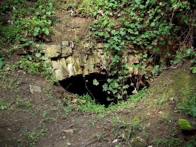 Tajemnicze ruiny na Cmentarzu Centralnym