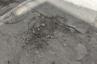 4,5-latka zginęła po upadku z 5. piętra. Leżała naga na ziemi. Nowe fakty ws. tragedii w Sosnowcu 