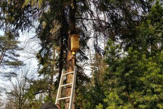  Budki lęgowe zawisły w bydgoskim Ogrodzie Botanicznym UKW w Bydgoszczy