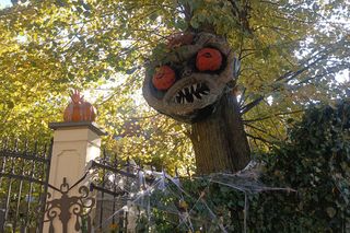 Willa na Jaśkowej Dolinie w Gdańsku znów straszy! Tegoroczny motyw Halloween budzi niepokój