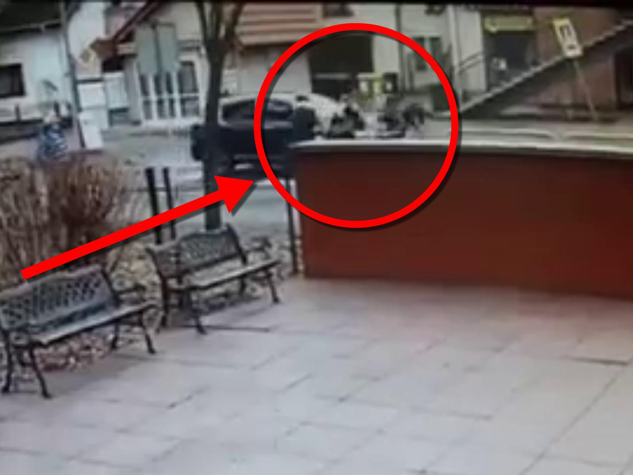Kołobrzeg: Potrącił SUV-em kobietę na przejściu dla pieszych. Policja szuka świadków [WIDEO]