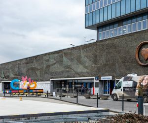 Instytut „Pomnik-Centrum Zdrowia Dziecka”