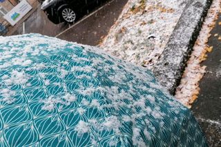 Pierwszy śnieg w Szczecinie