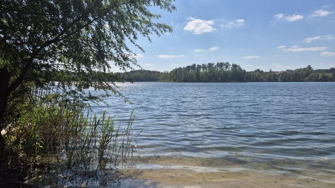 To jezioro w Olsztynie ma niezwykle czystą wodę. Jest kilka dzikich plaż, które świecą pustkami