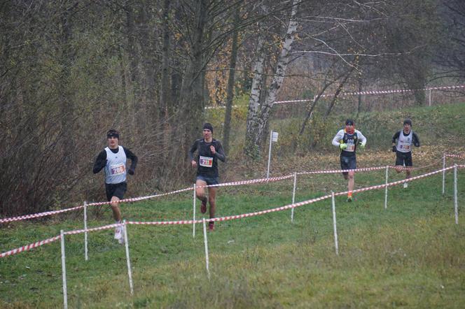 Bieg przełajowy Cross Country w Bydgoszczy! Wielkie ściganie w Myślęcinku [ZDJĘCIA]