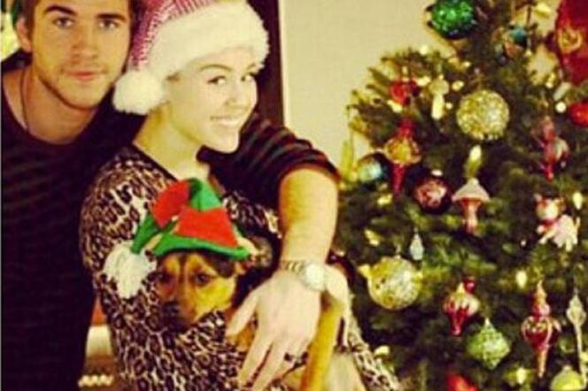 miley cyrus i liam hemsworth sekretny ślub?