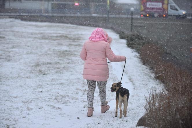 Nagły atak zimy w Warszawie