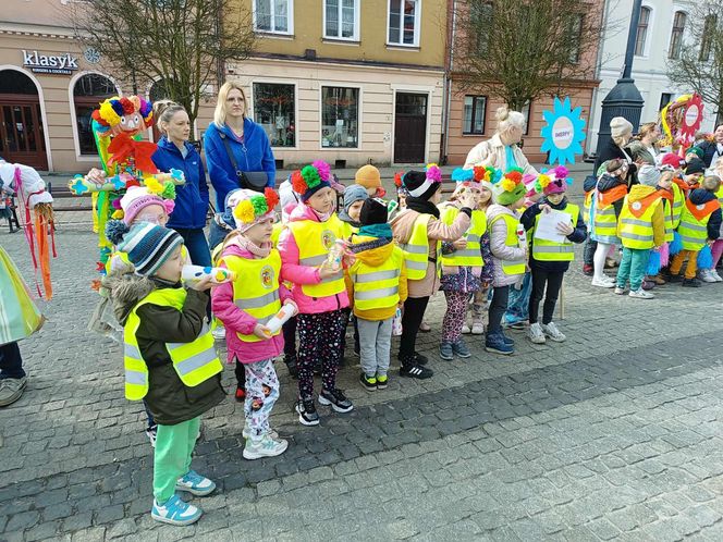 Przemarsz przedszkolaków z marzannami ulicami Grudziądza