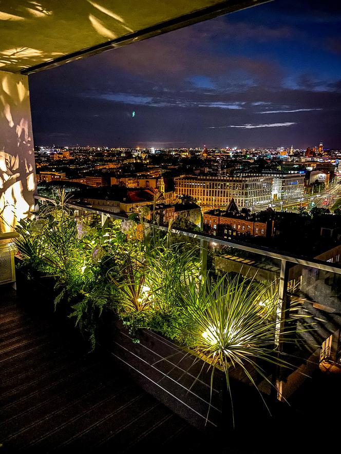 Miejska dżungla na balkonie