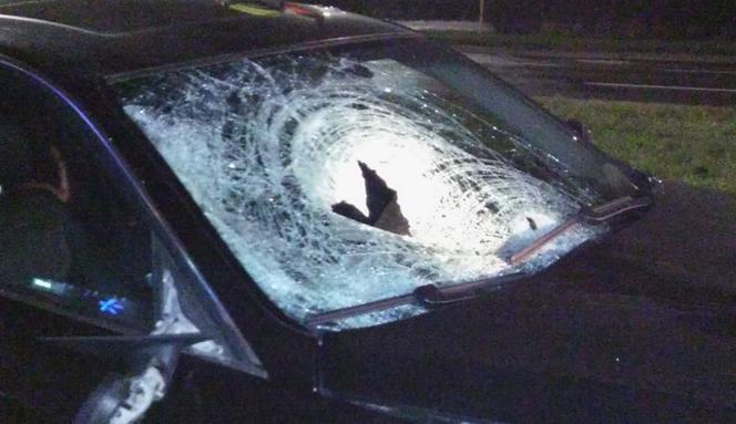 BMW w Toruniu śmiertelnie potrąciło matkę i córkę na przejściu dla pieszych