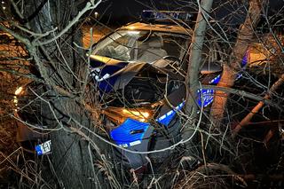 Dawidy Bankowe. Radiowóz uderzył w drzewo. W środku były dwie nastolatki