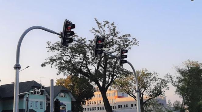 Przydrożne tablice pokazują utrudnienia, wolne parkingi i pogodę