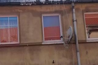 Tragiczny pożar w Lubsku! W zgliszczach znaleziono ciało młodej kobiety! [ZDJĘCIA]