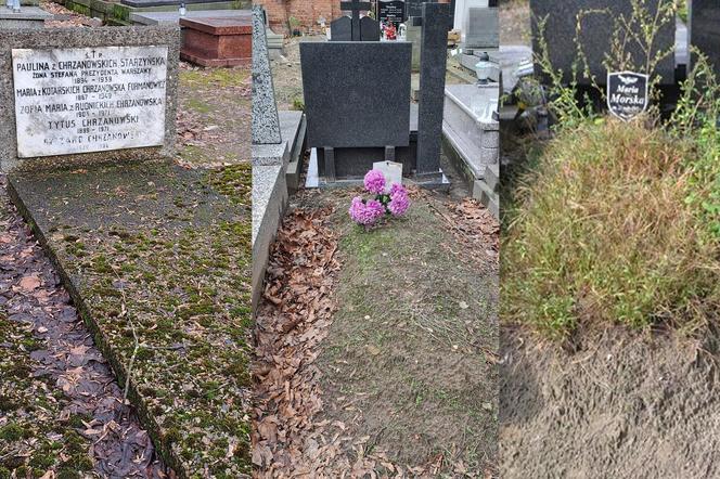 Zaniedbane groby znanych Polaków na Starych Powązkach 