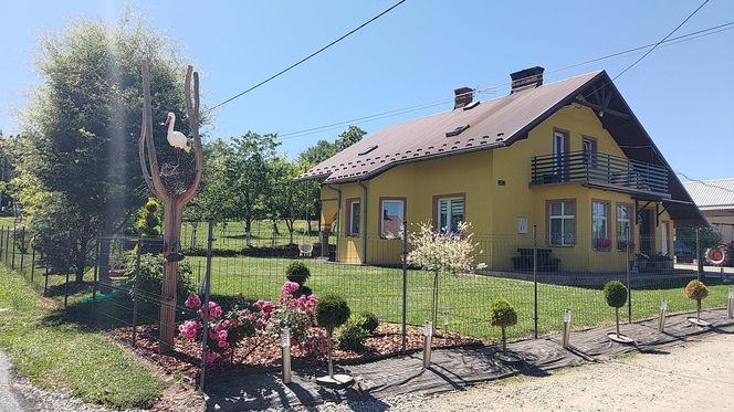 Duda przyłożył mi pistolet do głowy". Błagał go o życie. Przeżył dzięki opatrzności