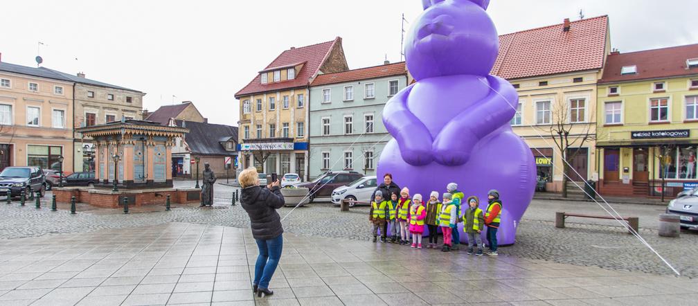 Zając Starego Browaru widziany w Grodzisku Wielkopolskim