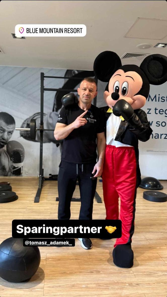 Tomasz Adamek i Myszka Mickey