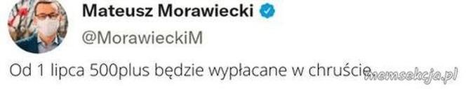 Legalne wywożenie drewna 