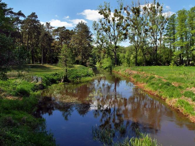 KAMPINOSKI PARK NARODOWY