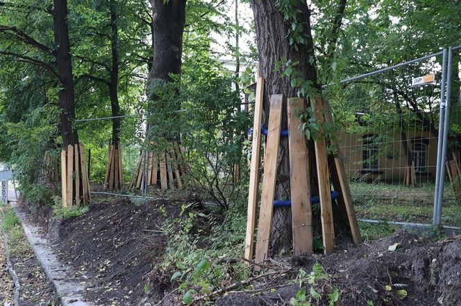 Rewitalizacja parku Bronowickiego w lublinie - postęp prac na koniec lipca 2025