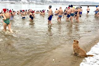 Warszawa morsuje! Gdzie i jak wchodzić do lodowatej wody? 