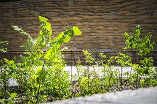 Plac wejściowy w parku Akcji „Burza”