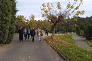 Cmentarz przy ul. Wrocławskiej będzie większy. I to jeszcze w tym roku