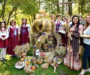 Tłumy na dożynkach w Olsztynku. Zobacz, jak wyglądało tegoroczne święto plonów