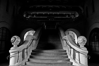 Tajemnicze schody na Powiślu [ZDJĘCIE DNIA]