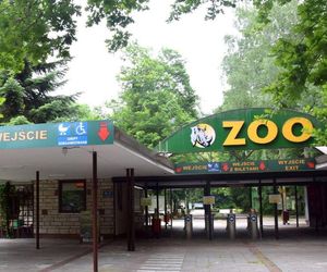  Nowe ZOO