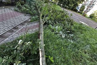 Burze w Świętokrzyskiem - 23-24 czerwca 2025