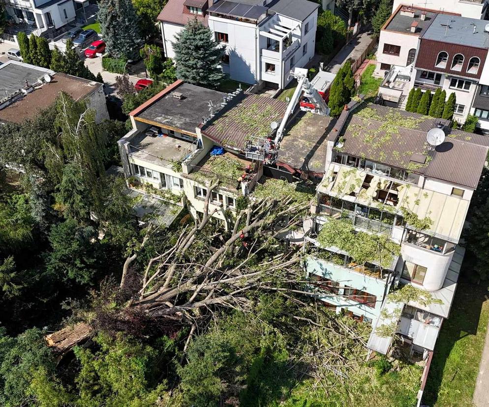 Burze i nawałnice nad Polską. Miażdżące dane, pogoda jak z koszmaru