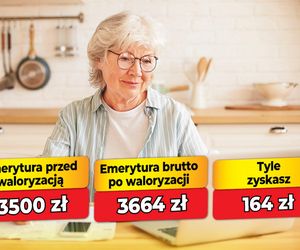 Waloryzacja emerytur 4,69 