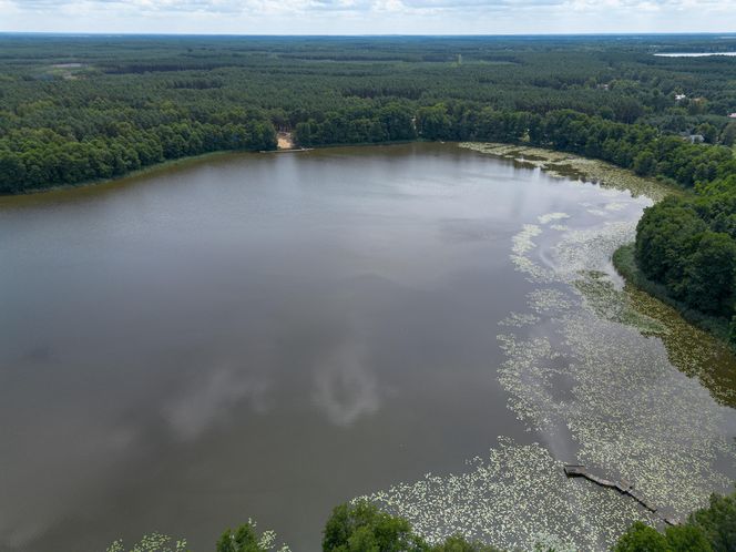 Tragiczna śmierć 15-letniego harcerza pod Wolsztynem