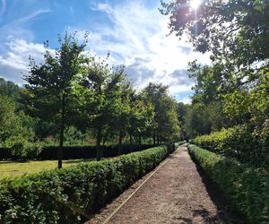 Arboretum Bramy Morawskiej zachwyca jesienią