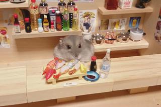 Śmieszny chomik to hit internetu!