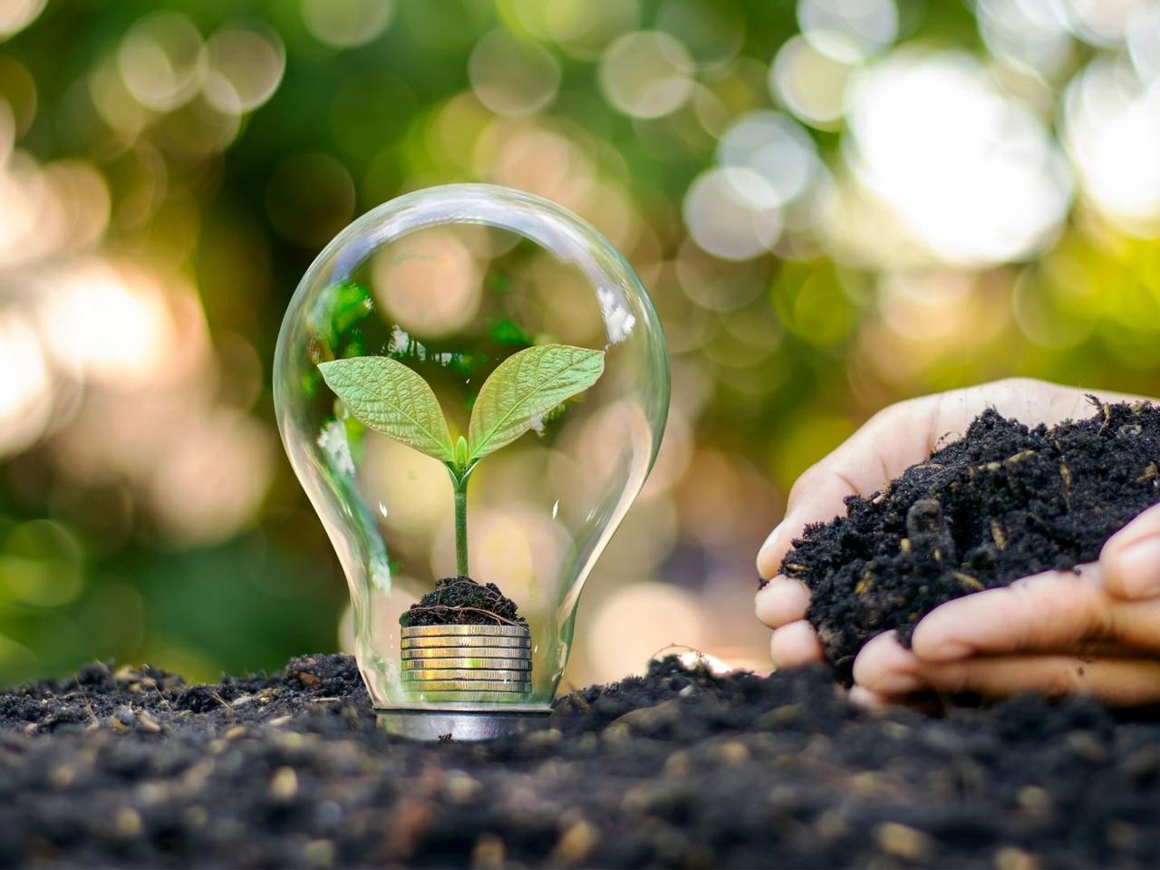 Światowy Dzień Ziemi 2022. Empik uratuje 40 tys. drzew rocznie