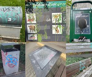 Wandale znów dewastują poznańskie parki. Miasto płaci za to ogromne kwoty