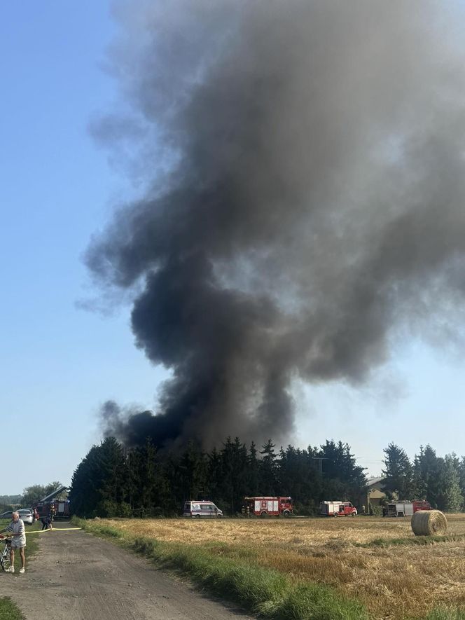 Pożar pod Ciechocinkiem