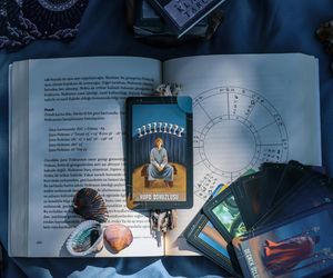 Jakie zwierzę pasuje do twojego znaku zodiaku? Wiemy, kto jest twoim zwierzęcym przewodnikiem