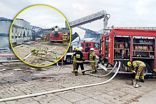 Pożar kurnika. Padło 38 tysięcy sztuk drobiu