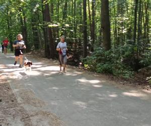 Bieg i marsz nordic walking o Puchar Miejskiej Góry