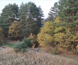 Idealne miejsce na jesienny spacer w Śląskiem - Kamień 