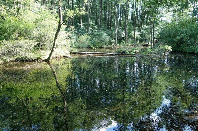 Tomaszów Mazowiecki skrywa turystyczne perełki